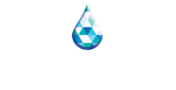 LOGO VICUS 2